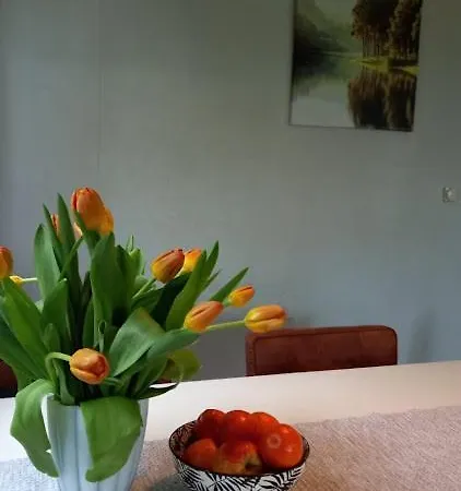 Woudthuisje * Laag-Soeren