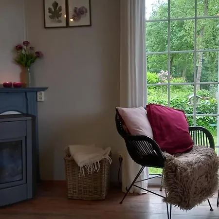 Woudthuisje Vakantiehuis
