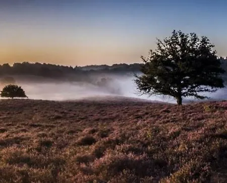 Woudthuisje * Laag-Soeren