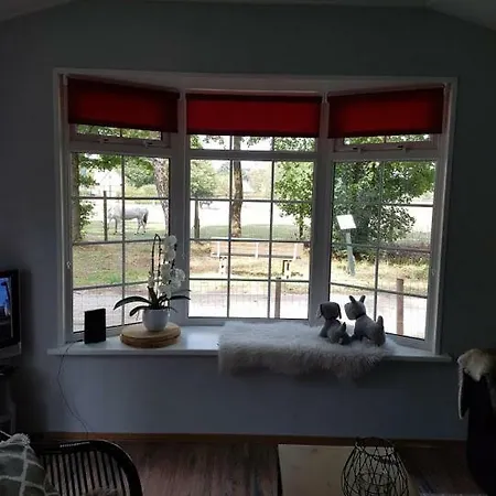 Woudthuisje Vakantiehuis