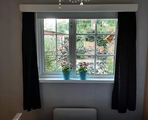 Woudthuisje Holiday home *