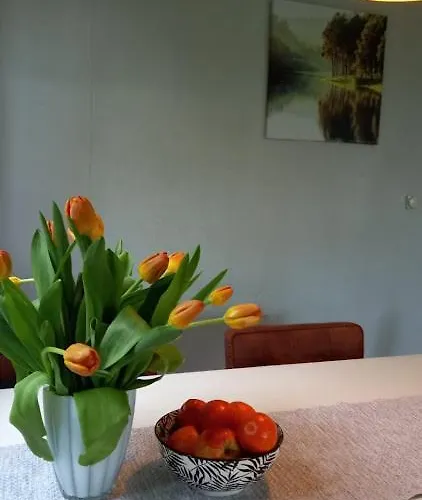 Woudthuisje * Laag-Soeren