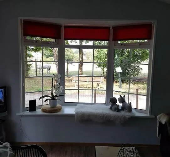 Woudthuisje Holiday home