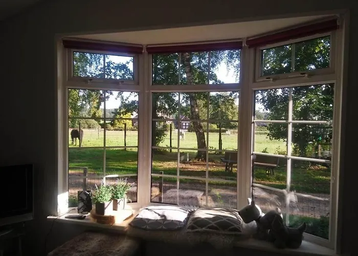 Woudthuisje Laag-Soeren