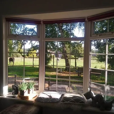 Woudthuisje Laag-Soeren