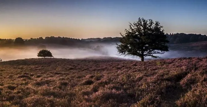 Woudthuisje * Laag-Soeren